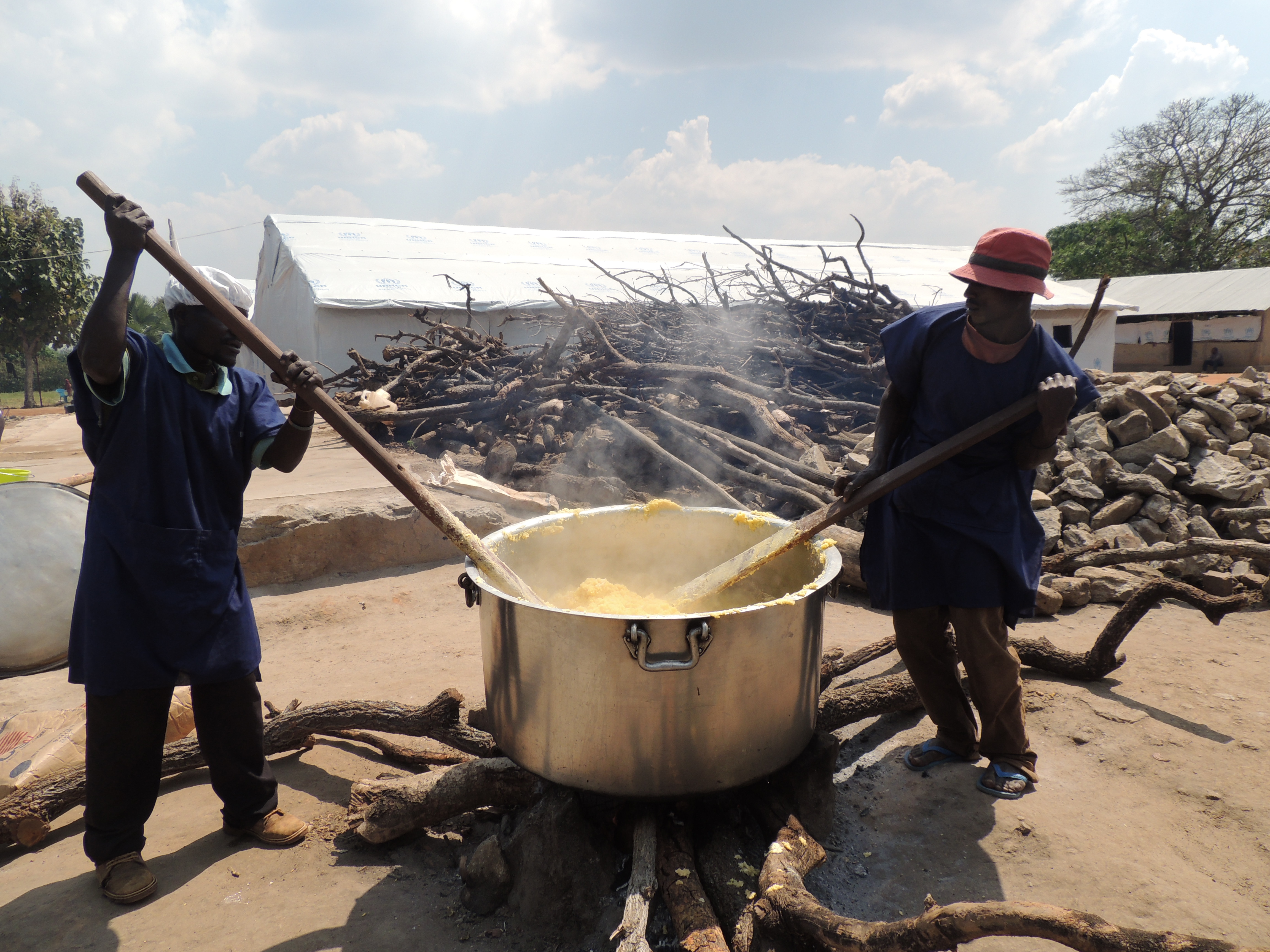 thumbnail of  Humanitarians struggle to address environment: ‘It’s nice but it’s not crucial’