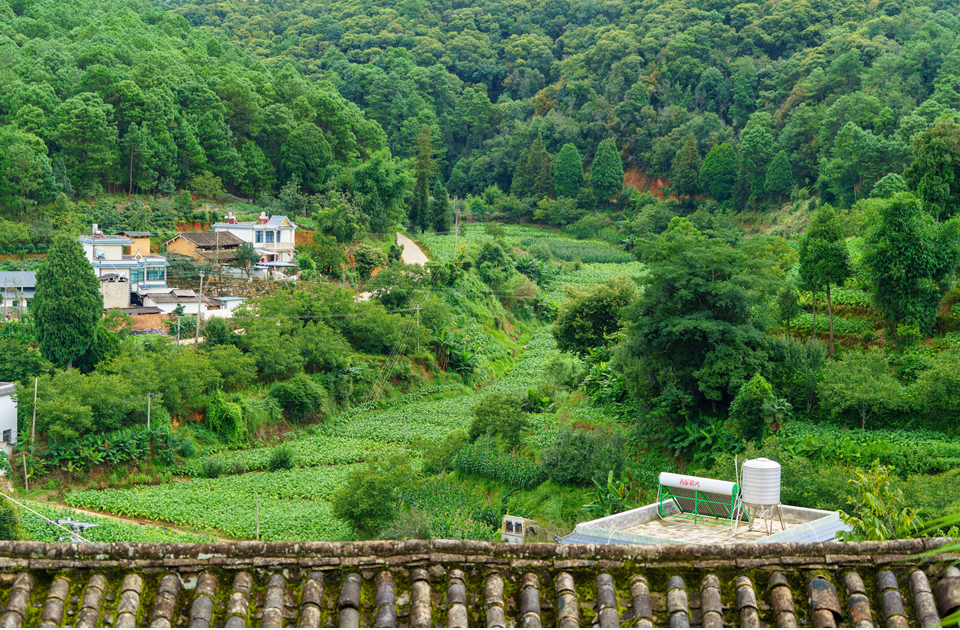 thumbnail of  Transformative solutions to protect the planet’s biodiversity