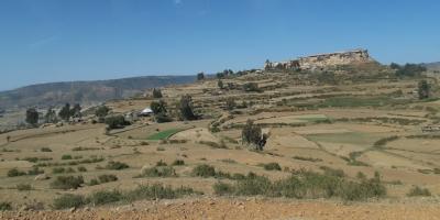 thumbnail of  Science for restoration of degraded land