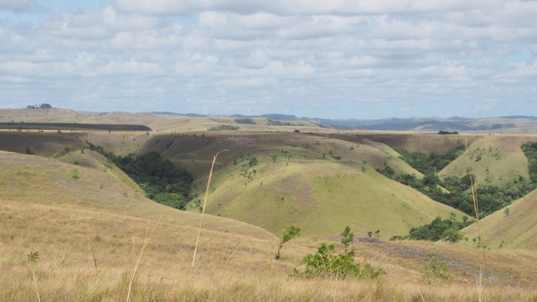 thumbnail of  UN Drylands ambassador calls for greater focus on restoration of tropical drylands
