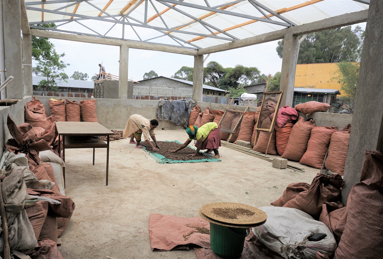 thumbnail of  Training for better tree seed marketing in Ethiopia
