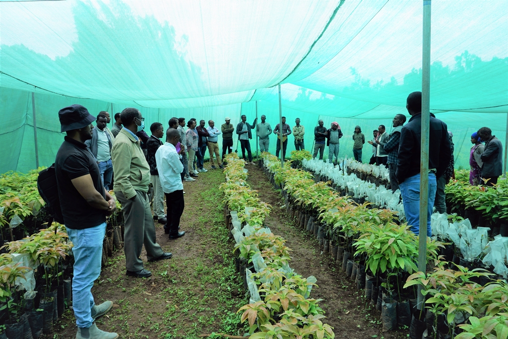 thumbnail of  Cascading Ethiopia’s multi-stakeholder watershed and agroforestry platform