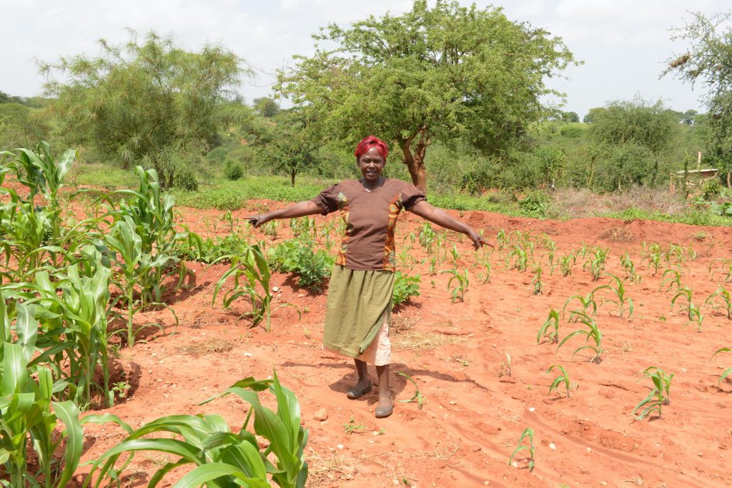 thumbnail of  Gender equality in agricultural development starts with understanding complexity
