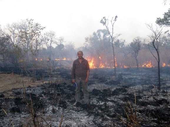 thumbnail of  Managing soil organic carbon and nitrogen in African grazing land
