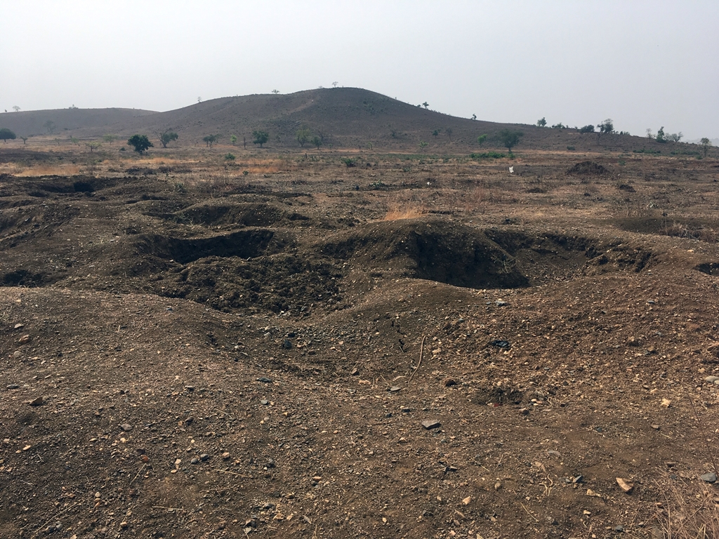 thumbnail of  Scientists push for soil protection to restore nature