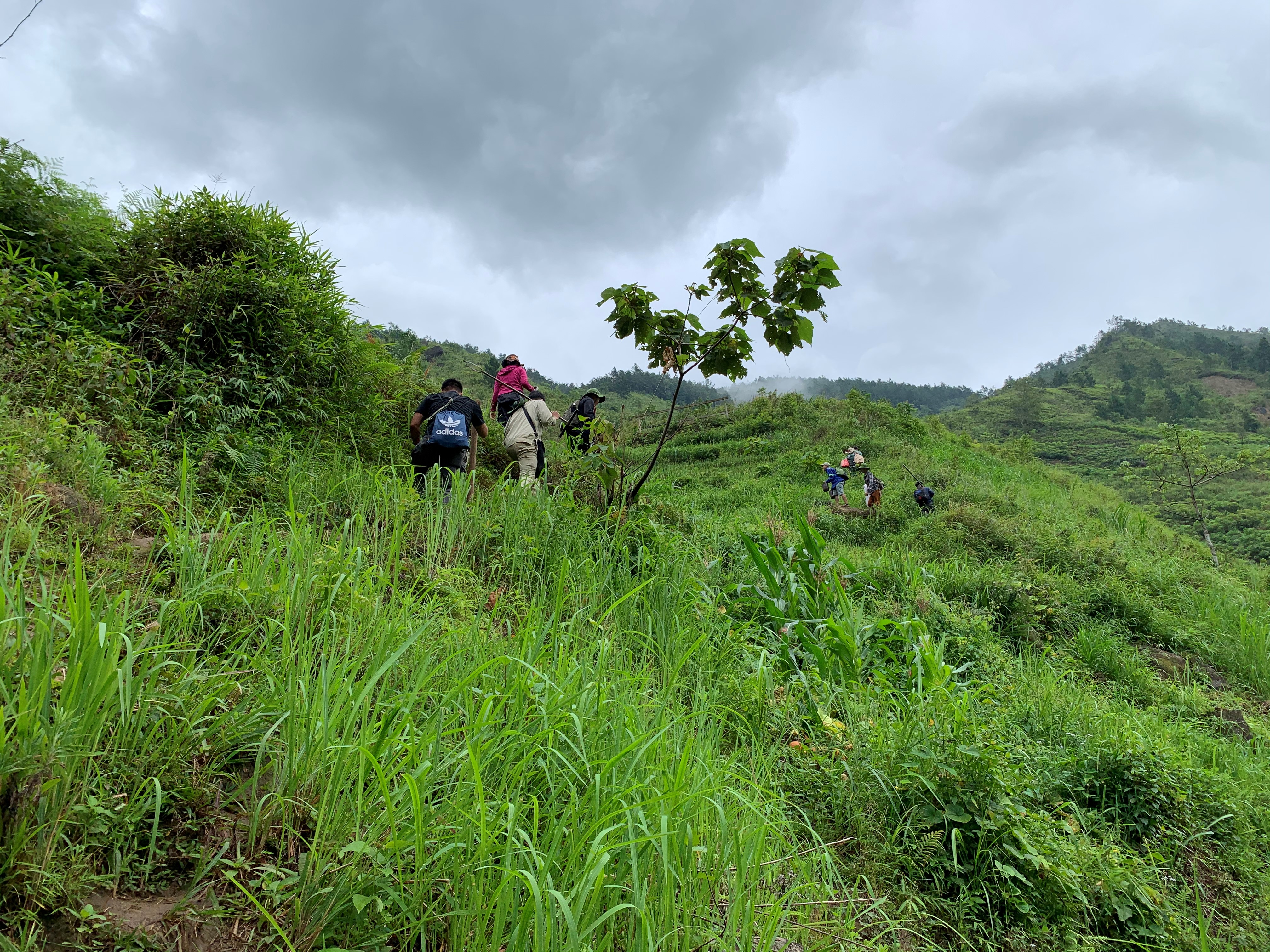 thumbnail of  Gendering migration: how straightforward is it?