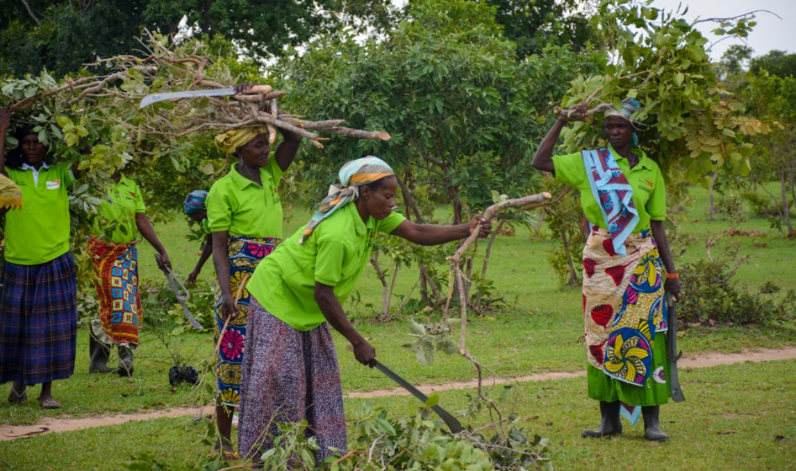 thumbnail of  Growing grassroots climate changers