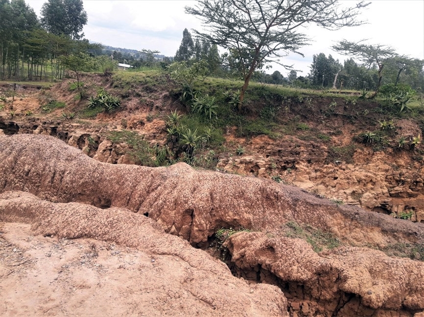 thumbnail of  Cascading the National Watershed and Agroforestry Multi-stakeholder Platform into the regions of Ethiopia