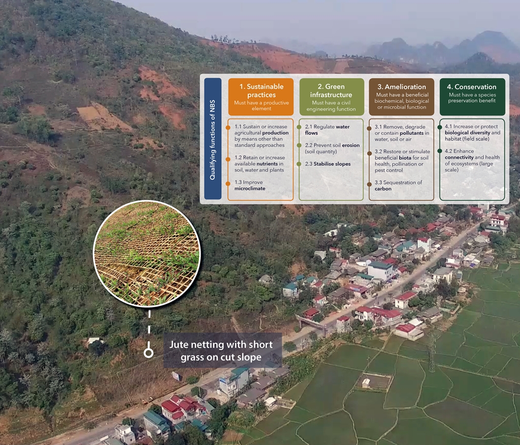 thumbnail of  New framework for nature-based solutions for agricultural landscapes