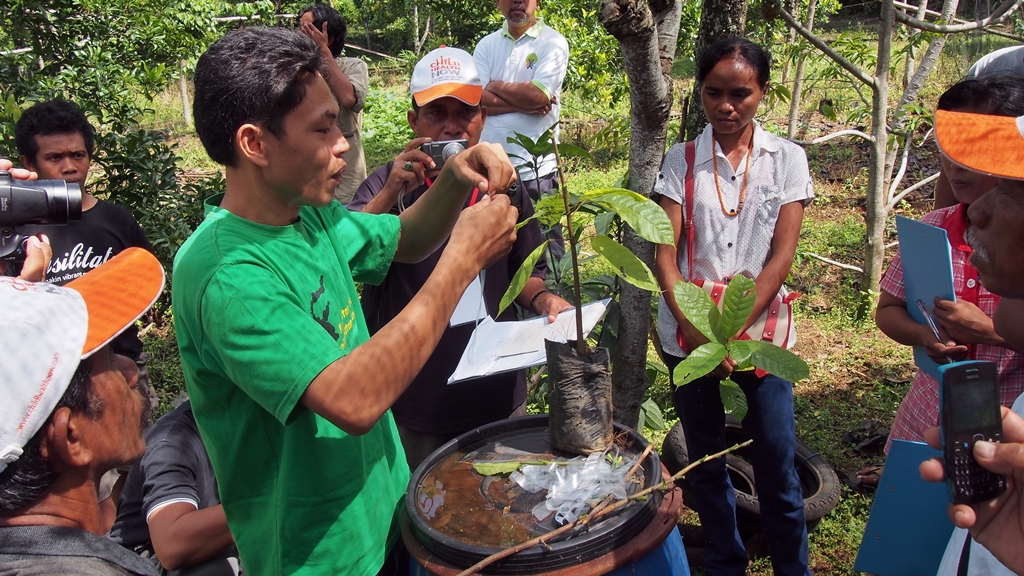 thumbnail of  More agroforestry education needed in Southeast Asia