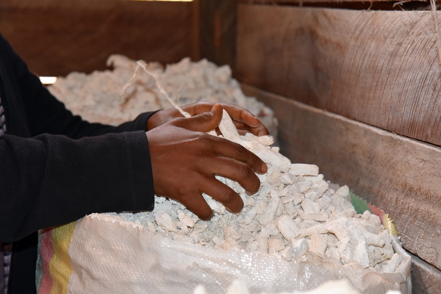 thumbnail of  Preserving community forests: scientists propose a shift of management for local enterprises