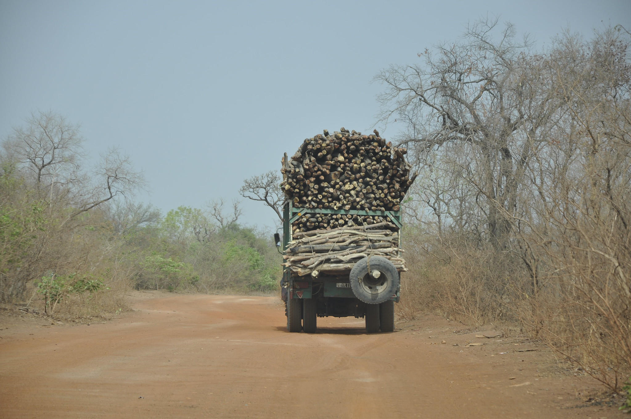 thumbnail of  A circular, biological economy?