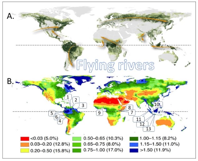 thumbnail of  Mimicking nature to reduce agricultural impact on water cycles: mimetrics