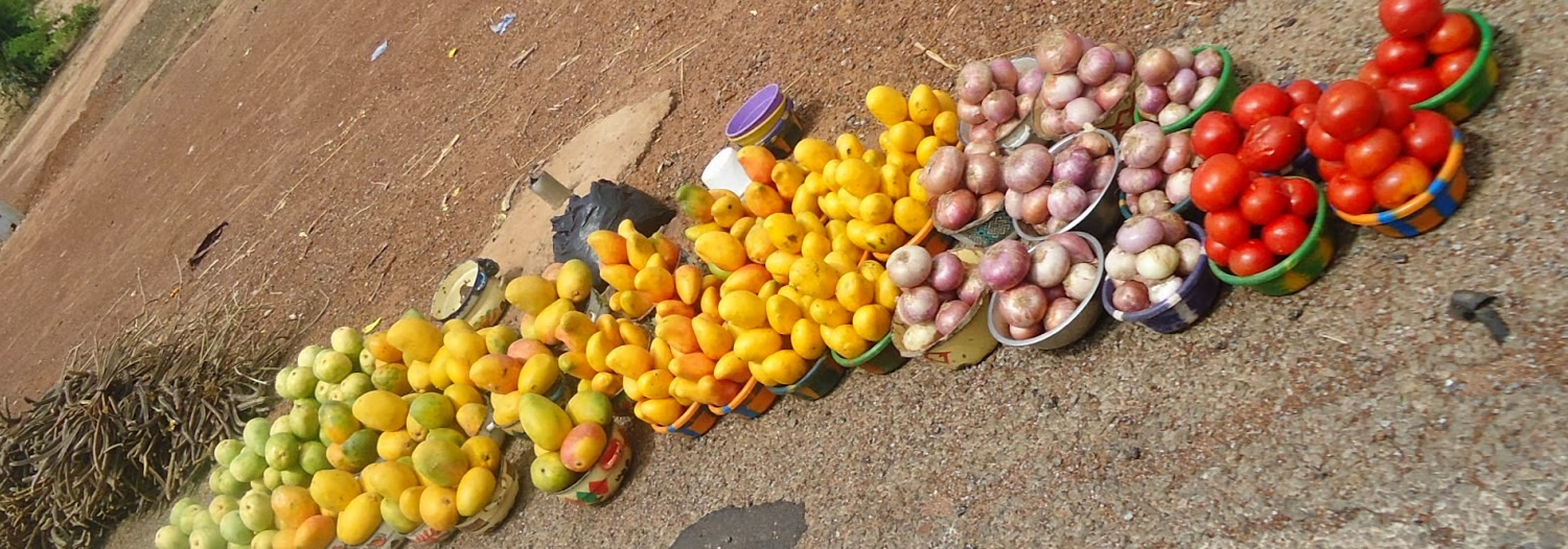 thumbnail of  Ensuring a nutritious diet for all. Together