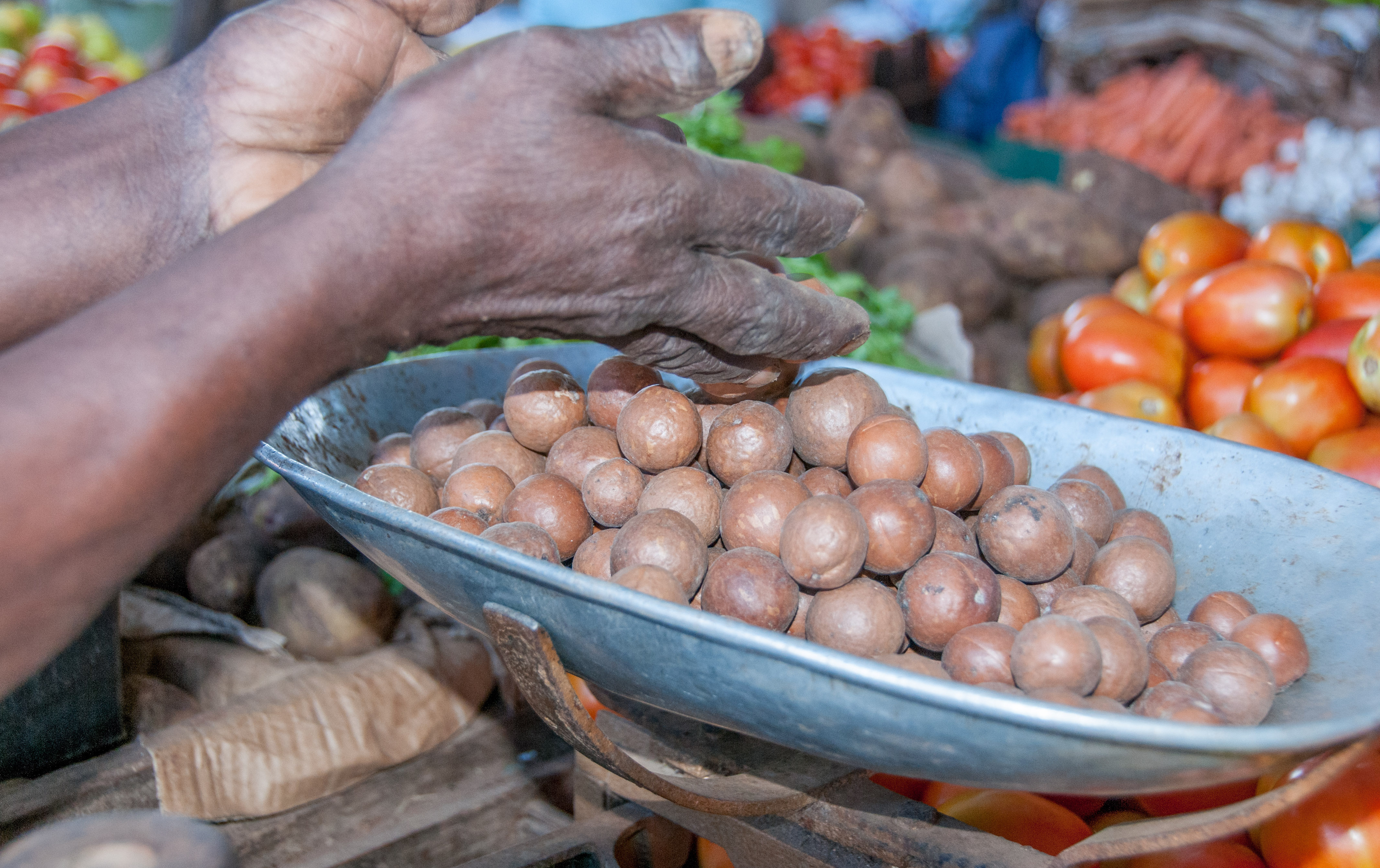 thumbnail of  Transforming agri-food systems for the Sustainable Development Goals requires honest discussion on trade-offs