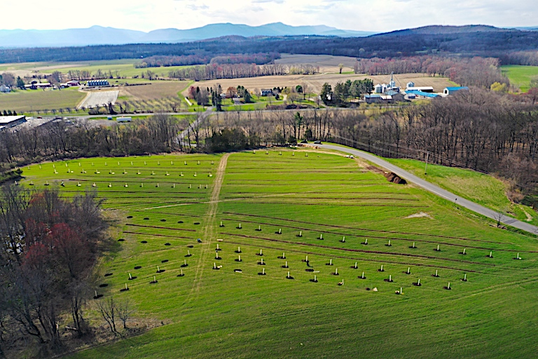 thumbnail of  Investors say agroforestry isn’t just climate friendly — it’s also profitable