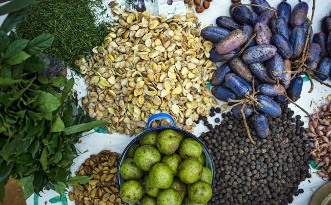 thumbnail of  Fruit, nuts, fish and more: forests for food