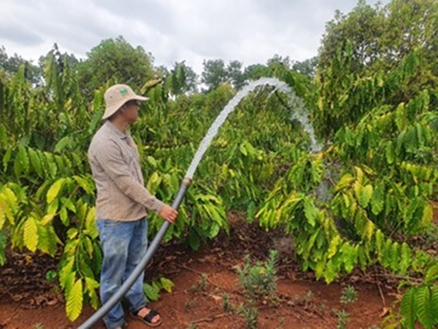 thumbnail of  Climate-smart coffee irrigation for Viet Nam’s Central Highlands
