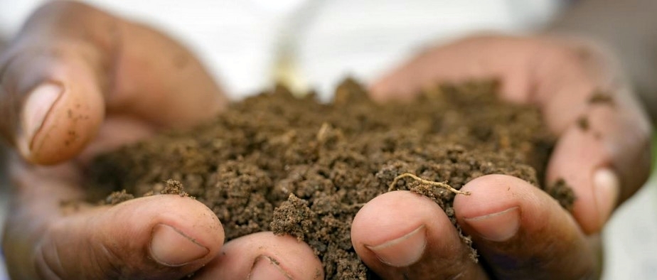 thumbnail of  Tackling climate change with healthy soils