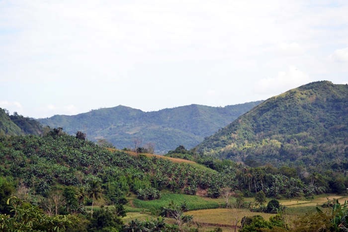 thumbnail of  Is the Philippines ready to seize funding opportunities for forest and landscape restoration?