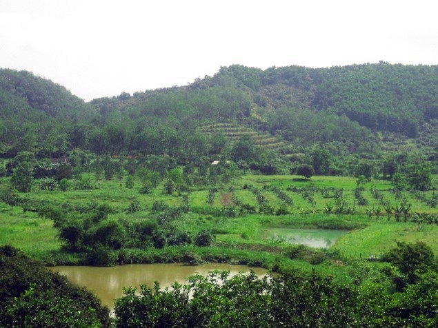 thumbnail of  Reinventing the homegarden: research in Viet Nam sets a resilient future