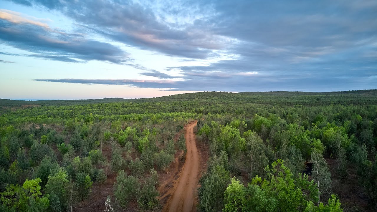 thumbnail of  Land tenure for forest landscape restoration and sustainable land management