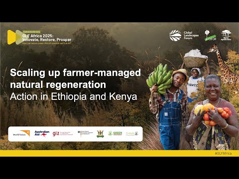 thumbnail of  Scaling up farmer-managed natural regeneration (FMNR): Action in Ethiopia and Kenya
