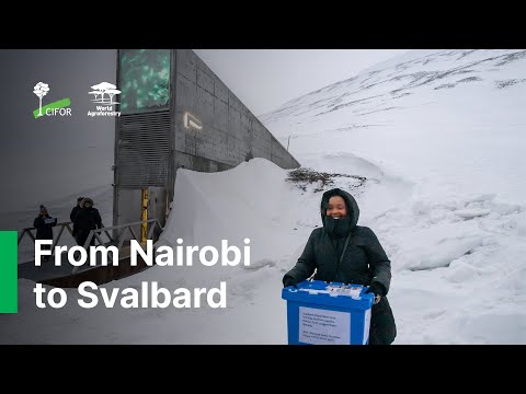 thumbnail of  Seed of the Future: From Nairobi to Svalbard