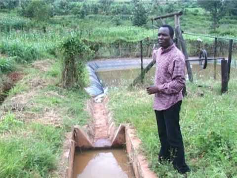 thumbnail of  Landcare success in Rwanda