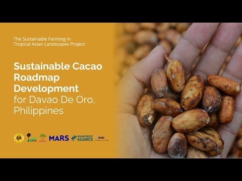 thumbnail of  Pioneering Sustainable Cacao Roadmap in Davao de Oro | SFITAL Project in the Philippines