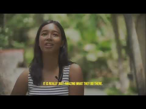 thumbnail of  Virtual tour of a mangrove forest and bird sanctuary in the Philippines