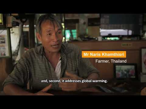 thumbnail of  Words from farmers