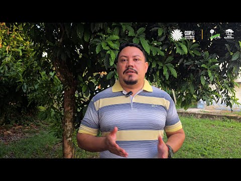 thumbnail of  Regenerative Agriculture and the Future of the Amazon