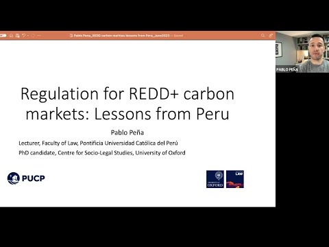 thumbnail of  Regulation for REDD+ carbon markets: Lessons from Peru