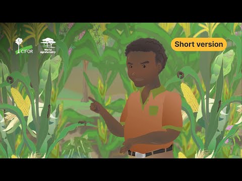 thumbnail of  How to manage Fall armyworm Spodoptera frugiperda Smith on smallholder farms - Short version