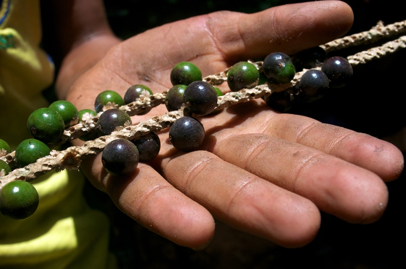 thumbnail of  FEATURE: Key messages for the UN Food Systems Summit