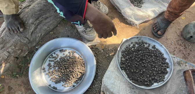 thumbnail of  Seedballs: A simple innovation helping farmers face climate extremes