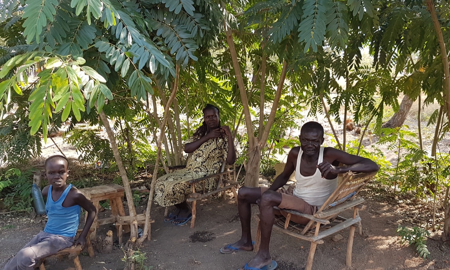 thumbnail of  Opinion | Trees: Generous Wild Hosts for Refugees in Uganda