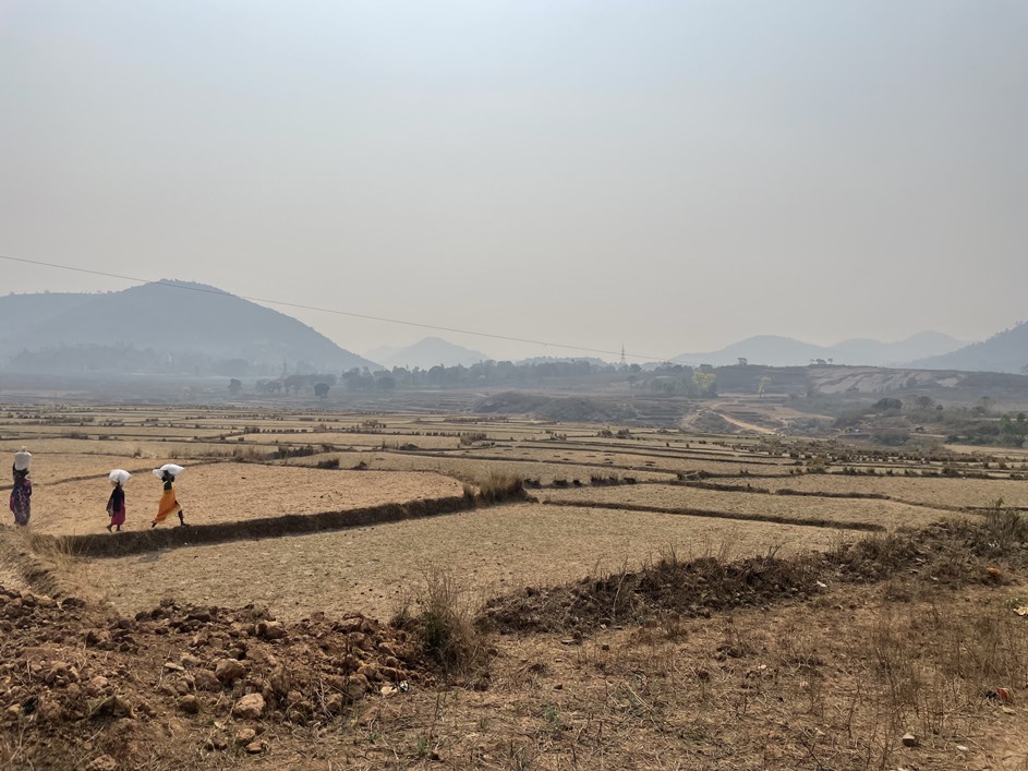 thumbnail of  Restoring soil and land health in Andhra Pradesh with a landscape approach