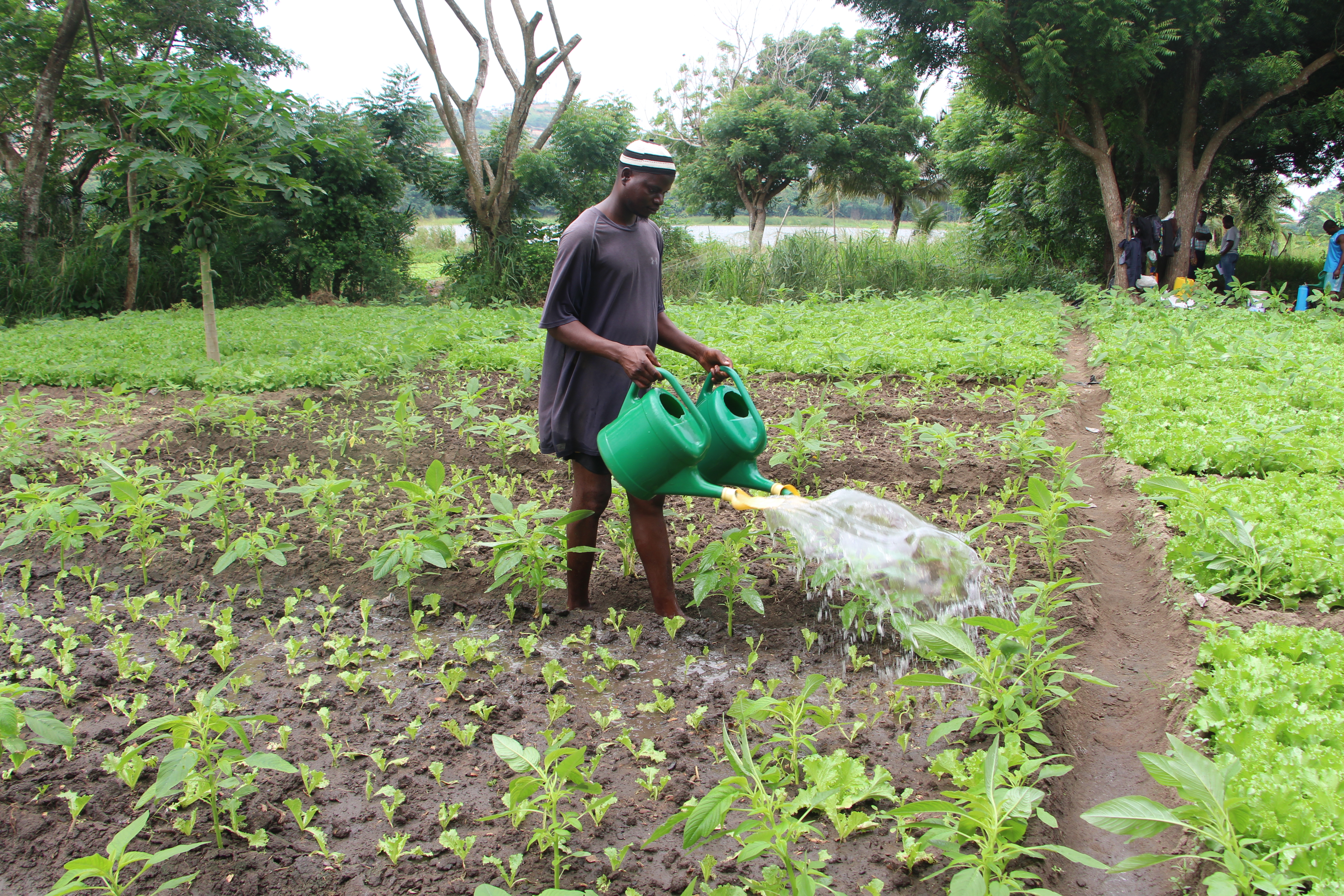 thumbnail of  New project offers circular-economy solutions for refugee and host communities in East Africa