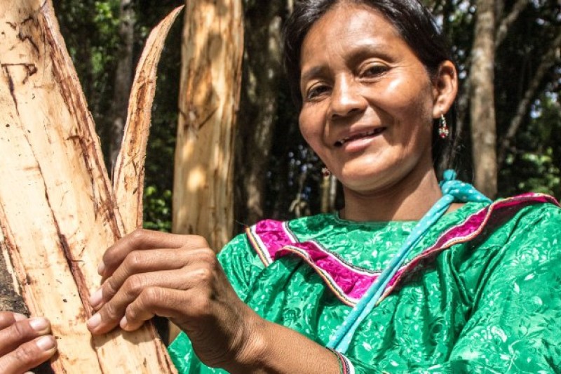 thumbnail of  Creating a new relationship with nature through a ‘stewardship economy’