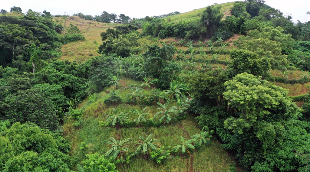 thumbnail of  ‘Those unemployed before, they are now employed’