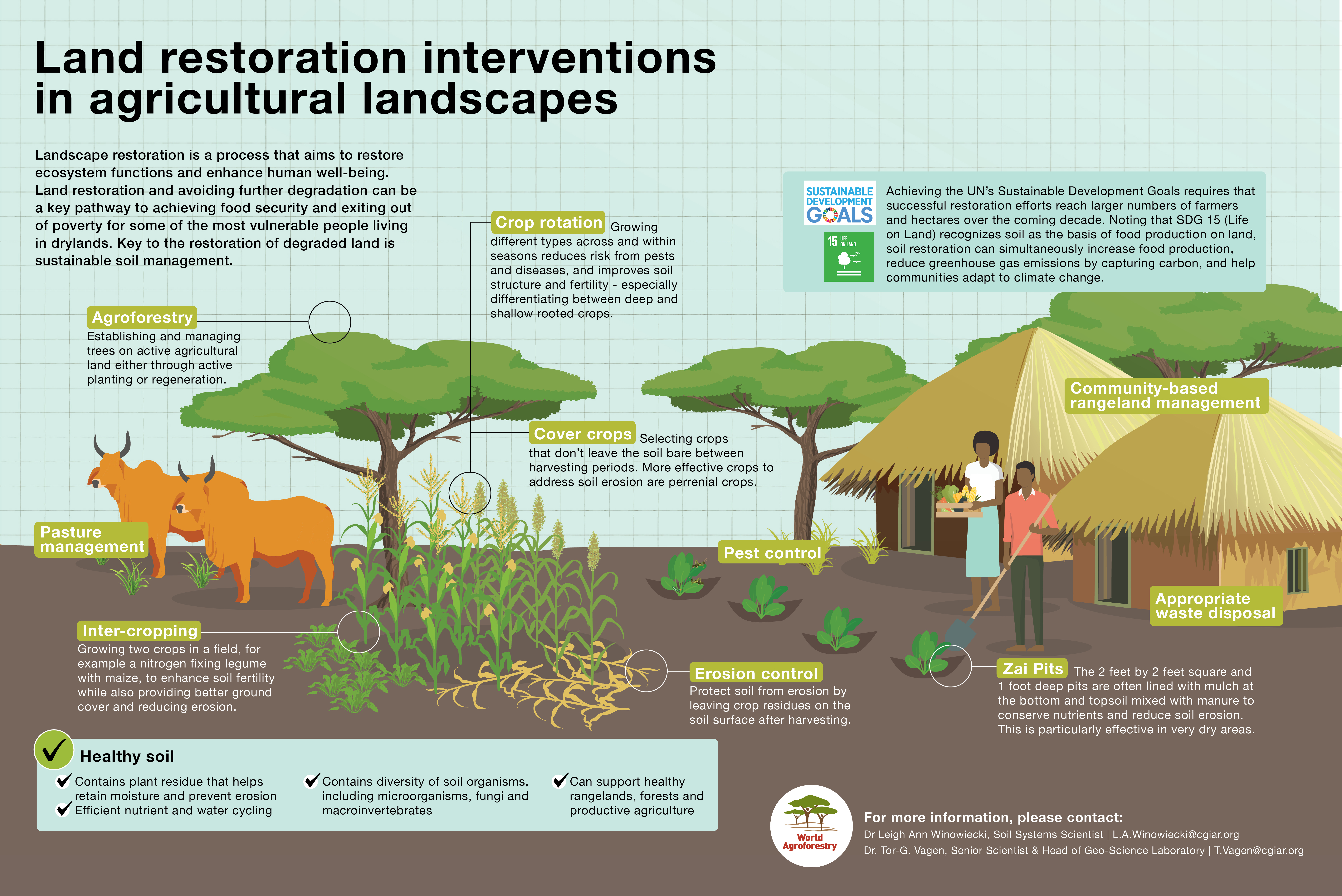 thumbnail of  Working together with the Makueni County Government to combat land degradation