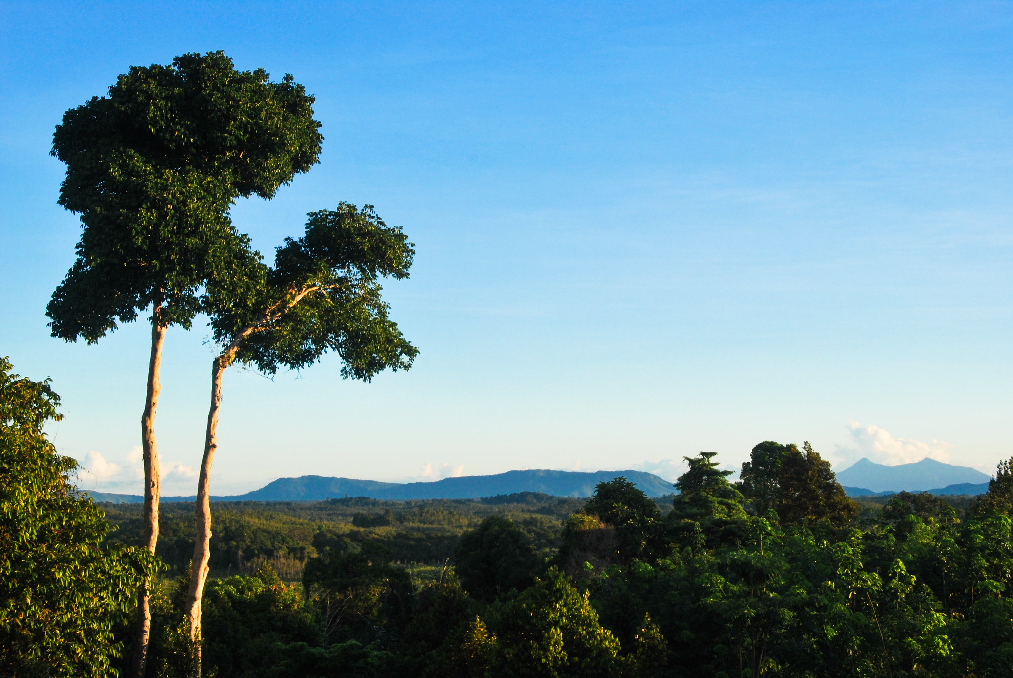 thumbnail of  Goals for the environment linked to peace targets