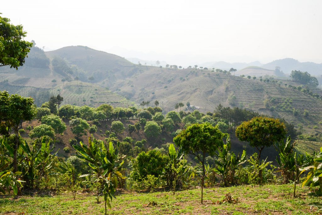 thumbnail of  The missing middle: how enabling environments will translate global commitments into local action