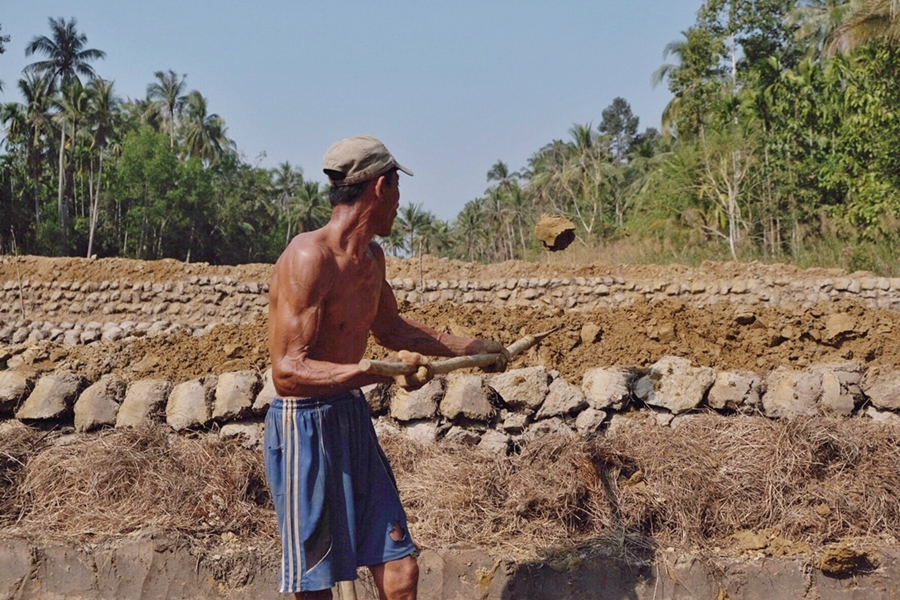 thumbnail of  Farmers sharing advice lead the spread of agroforestry
