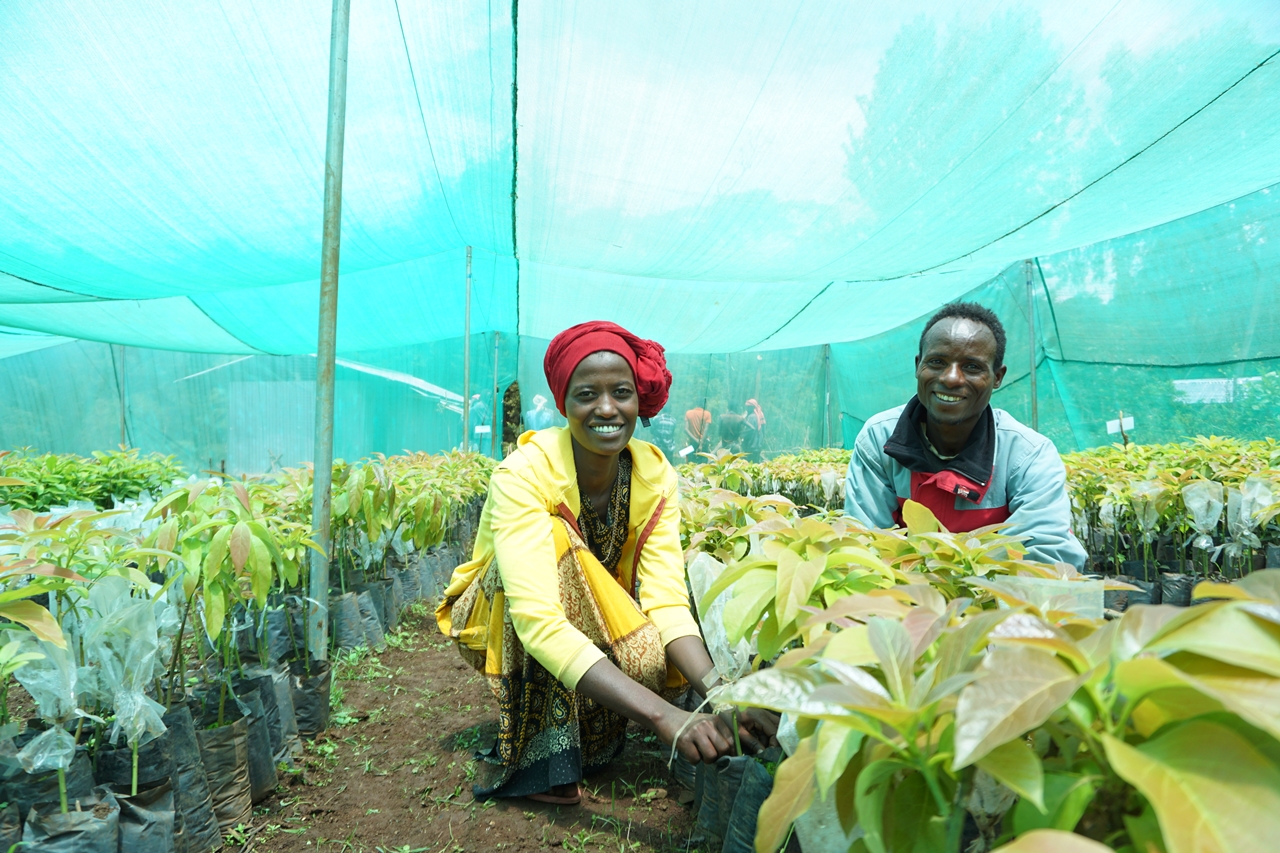 thumbnail of  FEATURE: Bringing a bright future by creating green jobs in Ethiopia