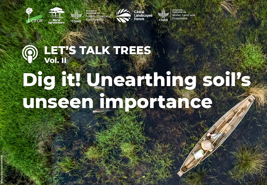 thumbnail of  Digging deeper into the soil