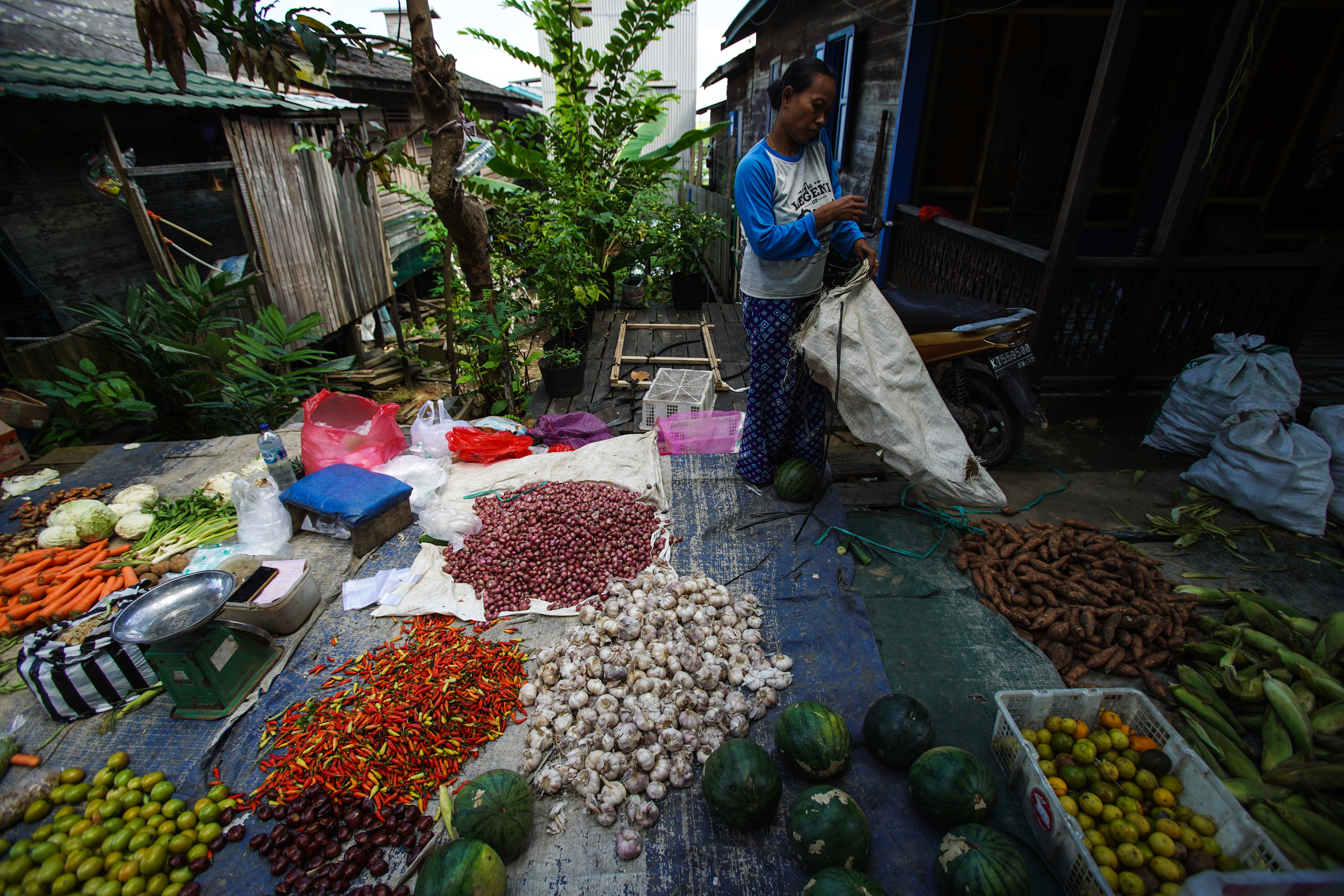 thumbnail of  FEATURE: A new vista emerging: local, diverse food chains