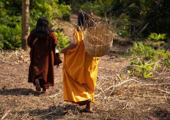 thumbnail of  Doing better: How REDD+ safeguards can advance Indigenous rights in Peru